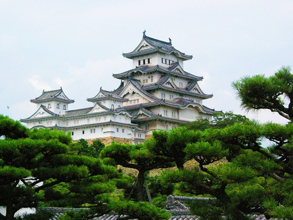 Dokan-culture4